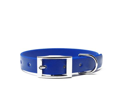 blue Mystique BioThane collar Deluxe