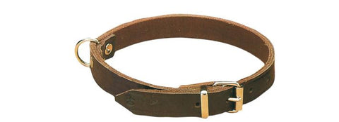 brown leather dog collar