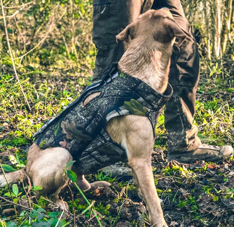 Camo vest for dogs deals