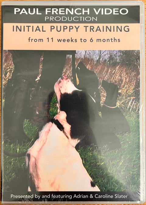 gundog puppy training book 
