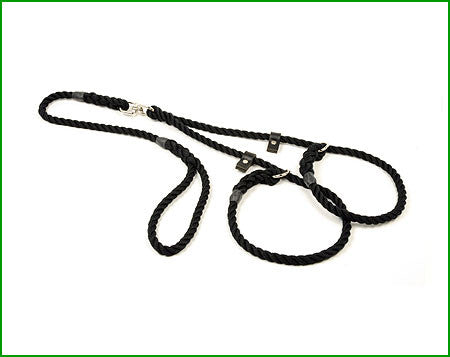 black rope lead for multiple dogs and people