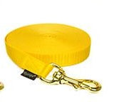 yellow nylon tracking leash