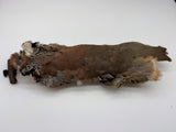 partridge feather training dummy