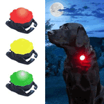 red, yellow and green Scarab safety lights for dogs