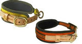 blood tracking collar collection