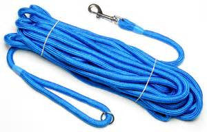 blue tracking line for dog training