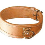 tan leather tracking collar