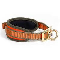 orange blood tracking dog collar